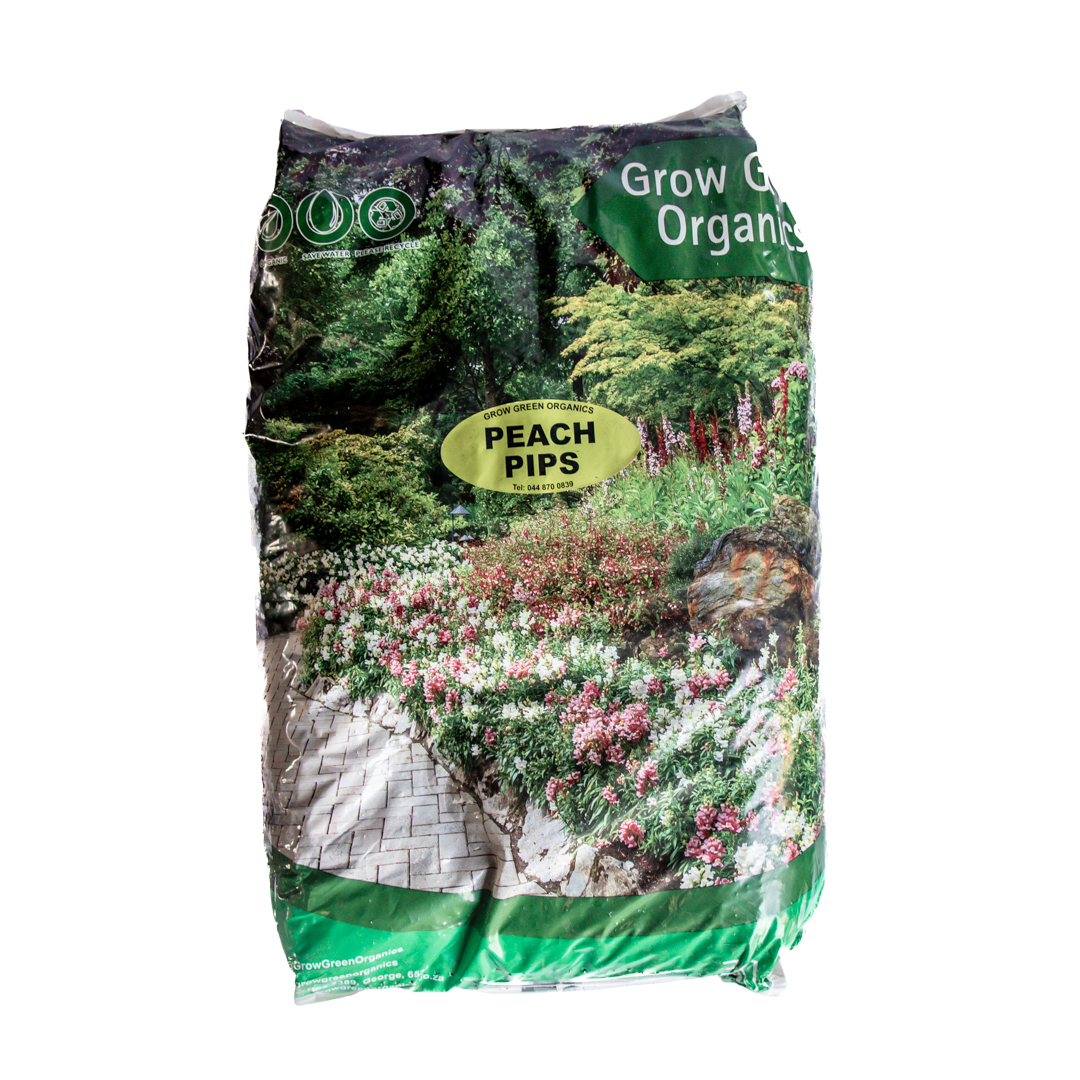 Peach Pips - grow green